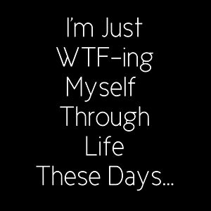 ๐ฆ Butterfly ๐ฆ photo