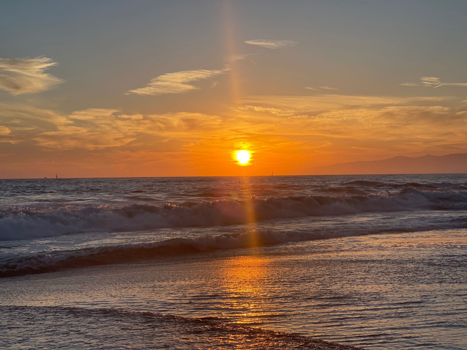 Abbie Wikenhauser photo