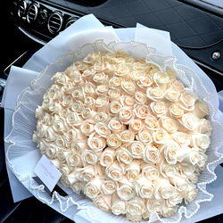 ๐๐โฏ๐๐๐พ๐ถ ๐น photo