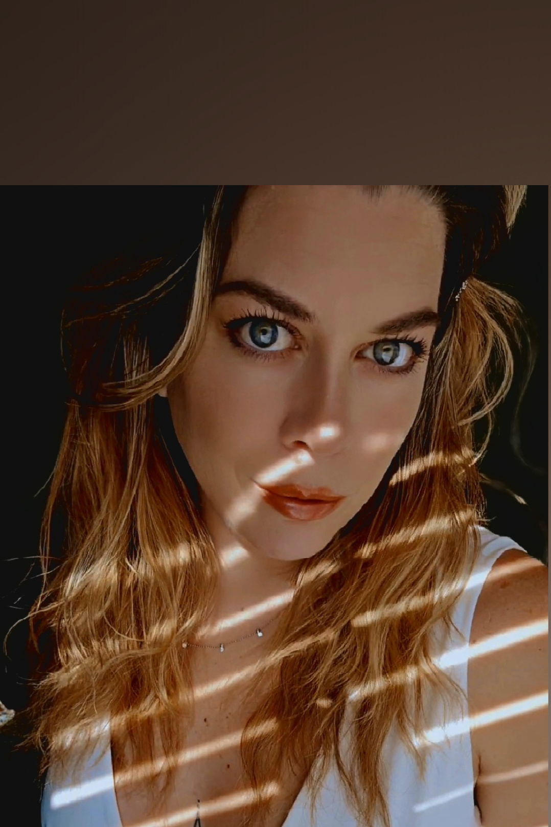 Smoky Mountain Cougar photo