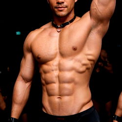 Fit and Shirtless Model Posing for Photos