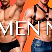 All Shade Studs photo